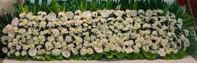 floor garden all white